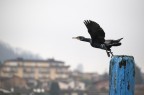 Il decollo Il decollo