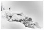 Escursione alpina invernale Escursione alpina invernale