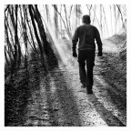 Controluce nel bosco Controluce nel bosco