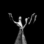 Per un fiore è troppo lunga la notte Per un fiore è troppo lunga la notte