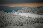 Vista sul parco del Casentino