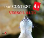 140° Contest: VERSO L'ALTO 140° Contest: VERSO L'ALTO