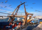 Ritorno da pesca