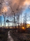 una strada verso sera una strada verso sera