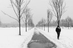 inverno
