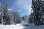 Sesto Pusteria (Bolzano).
Ho scattato la foto mentre facevo sci di fondo sul tratto che va dal paese di Sesto al Fondo Valle della Val Fiscalina.