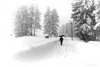 Passeggiata sotto la neve
