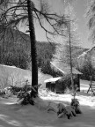 Sesto Pusteria (BZ)

Ho portato la foto in bianco e nero per rendere meno anonimo lo scatto.