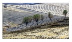 Campagna siciliana