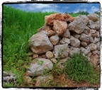 ..Muretto a secco tipico del Salento..
Non  usato nessun tipo di cemento n tipo alcuno di collante tra le singole pietre..

Mi ha colpito moltissimo il gioco cromatico..
..e i colori sono naturalmente cos vivi e accesi..