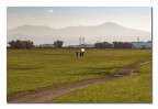 ParcoAcquedotti_RM_Feb2023_4