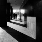 tra chiaroscuri tra chiaroscuri