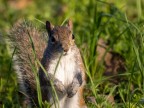 Uno scatto della giornata di ieri, in un parco vicino casa.

Suggerimenti e critiche ben accetti!