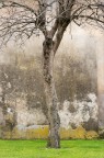 11032023_1DF7177
