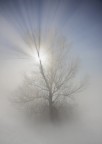 luce e nebbia luce e nebbia