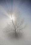 luce e nebbia