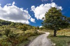 verso il cielo verso il cielo
