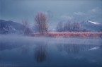 Frost Frost