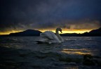 Tramonto su Lago d'Iseo, un bel momento inaspettato, luce bellissima ma non semplice. Fotografia a cui tengo molto ma risultato che non mi soddisfa del tutto nel suo complesso. 
F 5.0, 1/250, Iso 100, mano libera