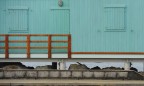 S.T.
