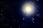 Notte (del disperato)