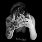 Dalla serie ''non c' rosa senza spine''