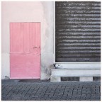 porta rosa con piccione porta rosa con piccione