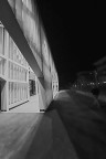 Nightwalk Nightwalk