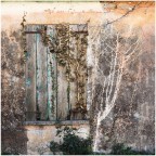 tracce di una vita... tracce di una vita...