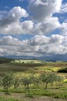 su e gi per la campagna II