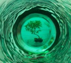 i love bonsai i love bonsai