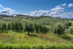 su e gi per la campagna III