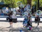 Bubbles!
