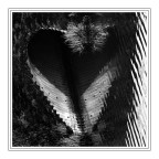 cuore nel fosso... cuore nel fosso...