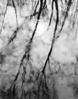 Riflessi sulla lanca Riflessi sulla lanca