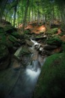 Parco Nazionale delle Foreste Casentinesi