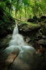 Parco Nazionale delle Foreste Casentinesi