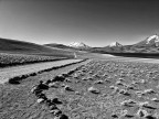 Laguna Laguna