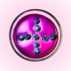 panna cotta ai mirtilli panna cotta ai mirtilli