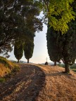 la fine di un pomeriggio estivo II la fine di un pomeriggio estivo II