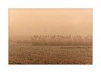 voglia di autunno
