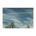 non CIELO dicono non CIELO dicono