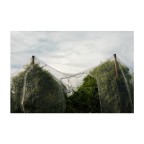 Cose (che stanno a fianco della strada) Cose (che stanno a fianco della strada)