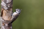 Malga natura agosto 2023