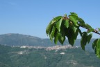 rametto rametto