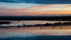 Un tramonto sulla Bisho Beach di Homer - Alaska