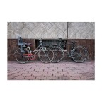 Dalla strada - Il Bacio Dalla strada - Il Bacio