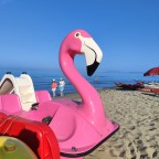 Voglia di rosa! Voglia di rosa!