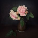 Ritratto di Signora Ritratto di Signora