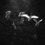 Attimi intensi Attimi intensi